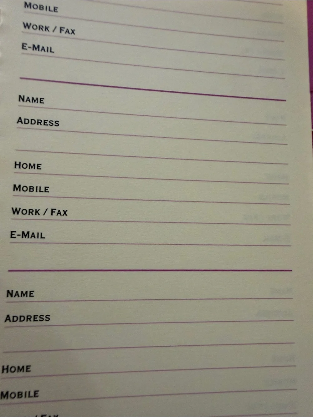 Hallmark Pastel Mint Address Notebook with Purple & Pink Floral Design